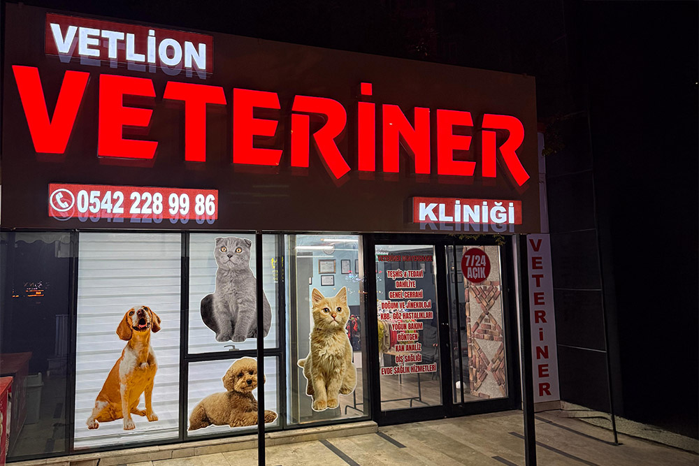 Esenyurt’ta en yakın veteriner kliniğinin dış cephe görünümü