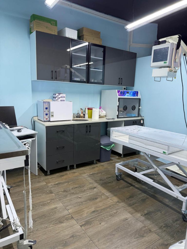 Esenyurt veteriner kliniğinde dijital röntgen cihazı