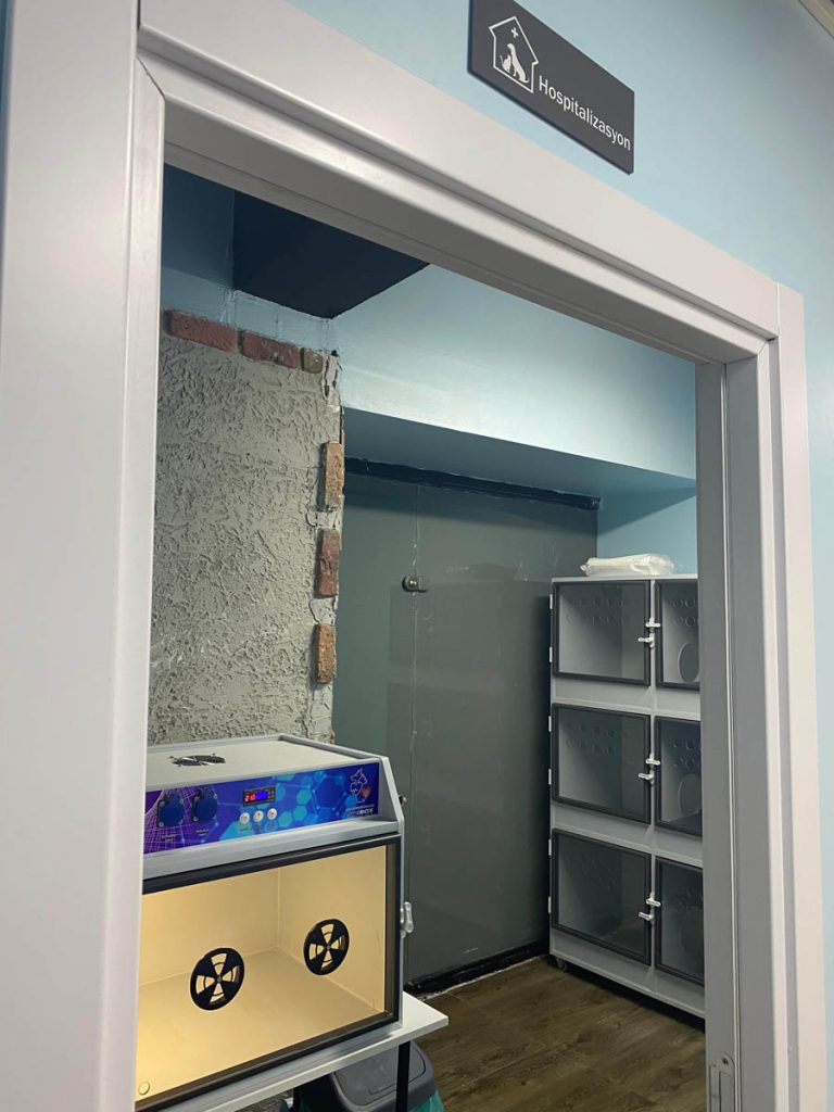 Esenyurt veteriner kliniğinde pet yoğun bakım ünitesi