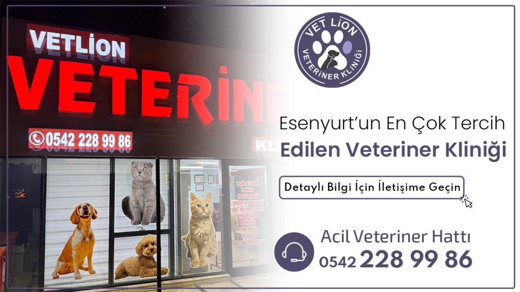 Esenyurt'un En Çok Tercih Edilen Veteriner Kliniği